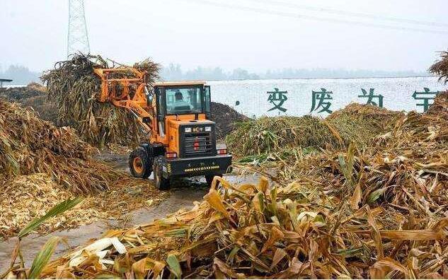 黑土地上的‘秸稈經(jīng)紀(jì)人’要讓秸稈牛起來(lái)，變成‘寶’