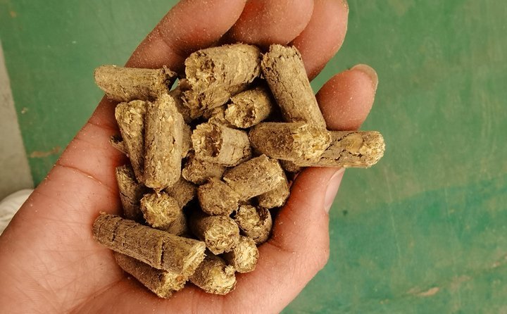 秸稈飼料顆粒機提高秸稈利用率，飼料顆粒機是以玉米、豆粕、秸稈、草、稻殼等為原料，通過粉碎原料后直接壓制成顆粒的飼料加工機械。